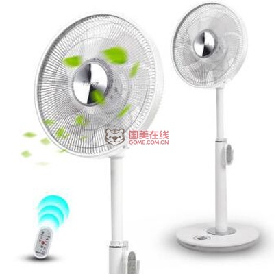 【格力FSZ-3008BG7電風(fēng)扇】格力大松(TOSOT)FSZ-3008Bg7 電風(fēng)扇 直流變頻落地扇 7葉靜音家用 大松電風(fēng)扇【圖片 價格 品牌 報價】-國美在線億佳電器專營店